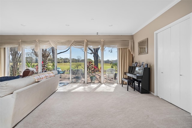 living area with ornamental molding and carpet flooring