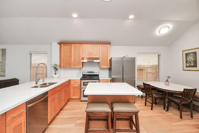 kitchen with lofted ceiling, under cabinet range hood, stainless steel appliances, a sink, and wood tiled floor