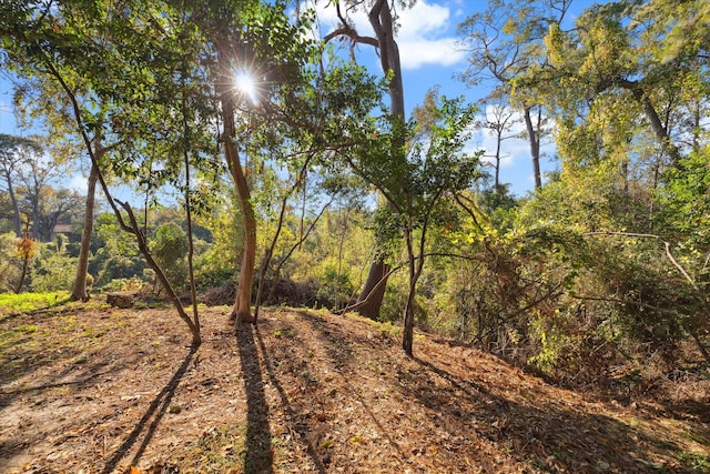 view of nature