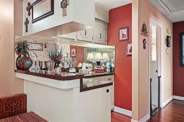 bar featuring baseboards, dark wood finished floors, and decorative backsplash