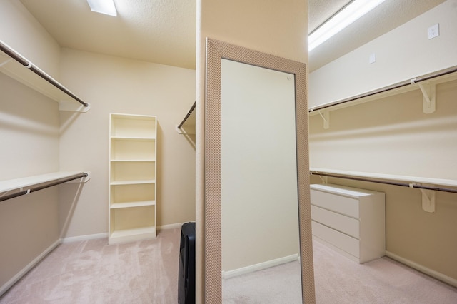 spacious closet with carpet floors