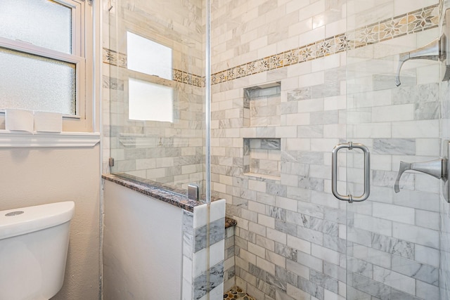 bathroom with plenty of natural light, toilet, and a shower stall