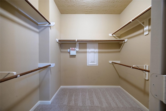 spacious closet with carpet floors