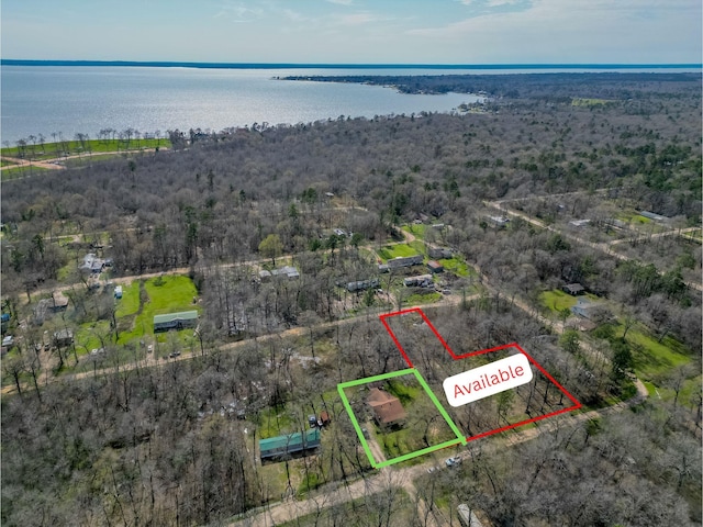 birds eye view of property with a wooded view and a water view