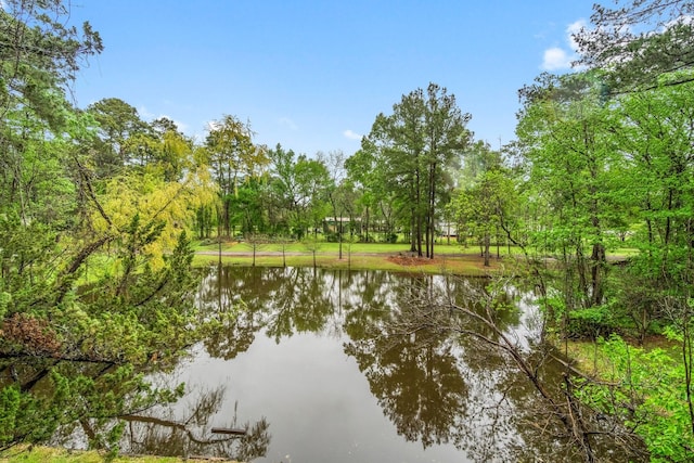 property view of water