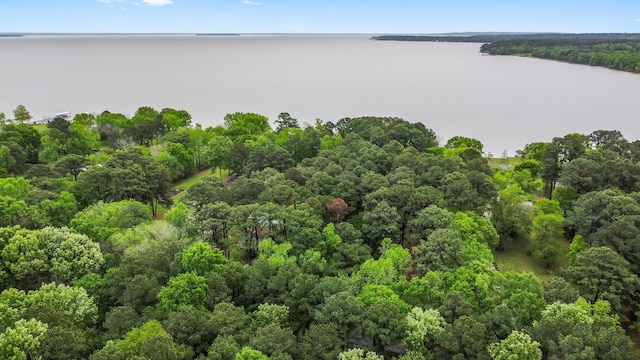 birds eye view of property with a water view and a forest view