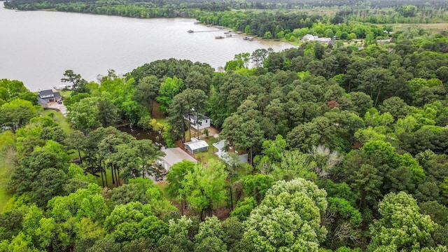 bird's eye view featuring a water view and a wooded view