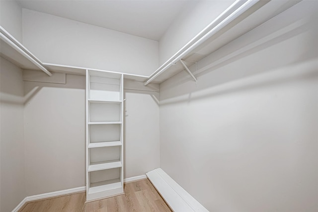 spacious closet featuring light wood-style floors