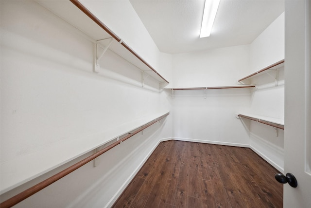 walk in closet featuring dark wood-style floors