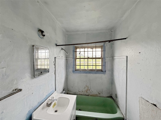 bathroom featuring a wealth of natural light and vanity