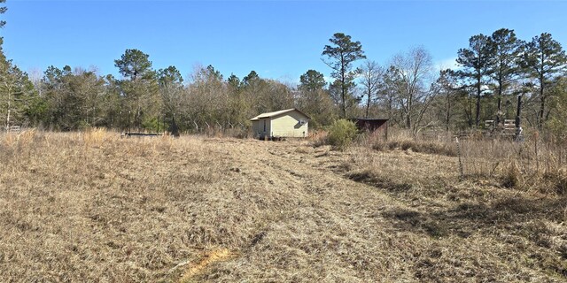 view of local wilderness