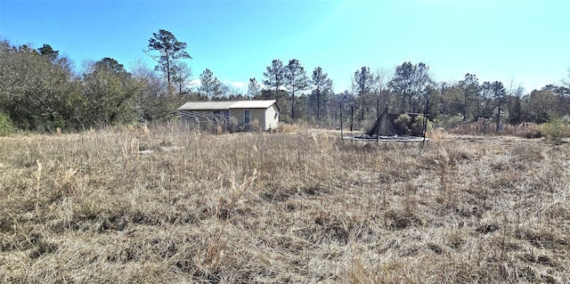 view of local wilderness