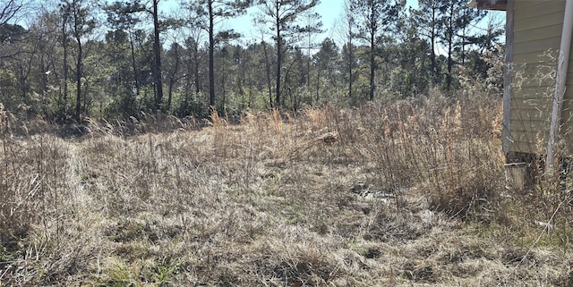 view of nature with a forest view