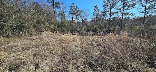 view of nature with a forest view