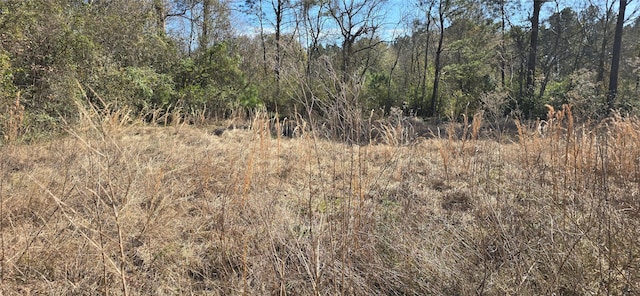 view of nature featuring a wooded view