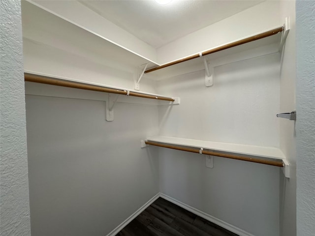 spacious closet featuring dark wood finished floors