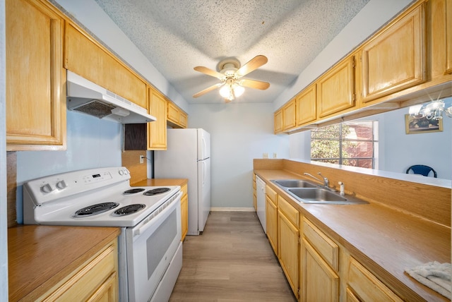 kitchen with light countertops, a sink, a textured ceiling, white appliances, and under cabinet range hood