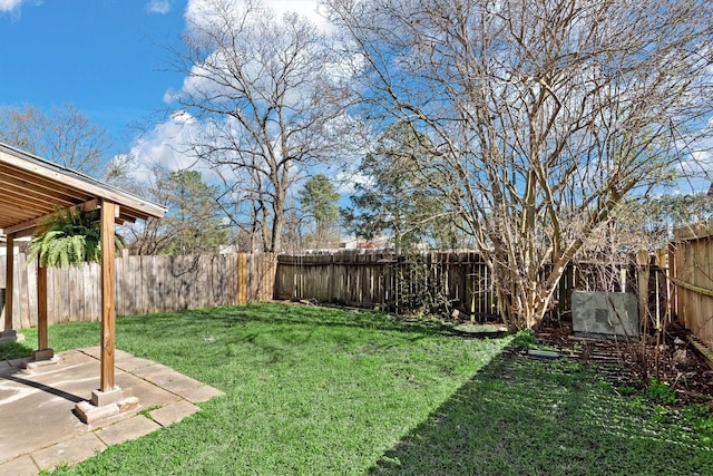 view of yard featuring a patio area and a fenced backyard