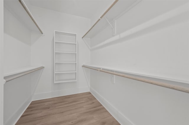 spacious closet featuring wood finished floors