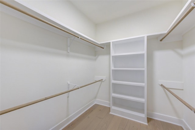 spacious closet featuring light wood finished floors