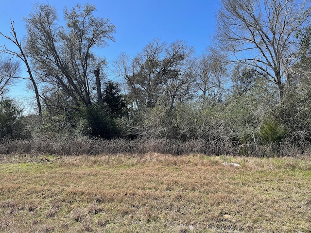 Listing photo 3 for 0 25th St, Hempstead TX 77445