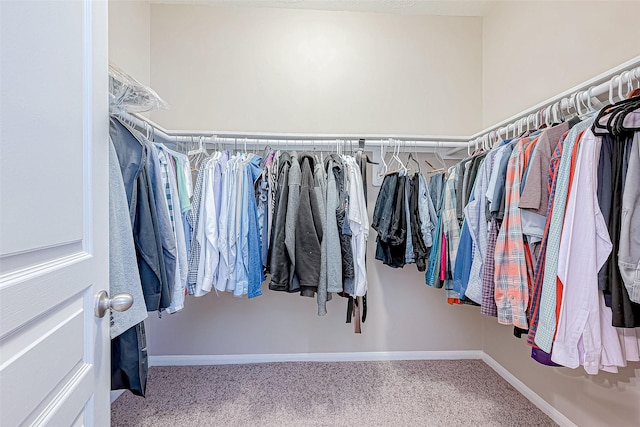 spacious closet featuring carpet flooring