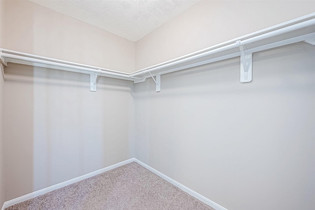 spacious closet with carpet flooring