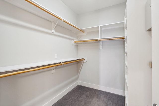 spacious closet with dark colored carpet