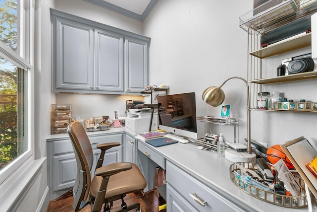 5006 Water View Bnd, Sugar Land, TX 77479 - office featuring ornamental molding and dark wood finished floors