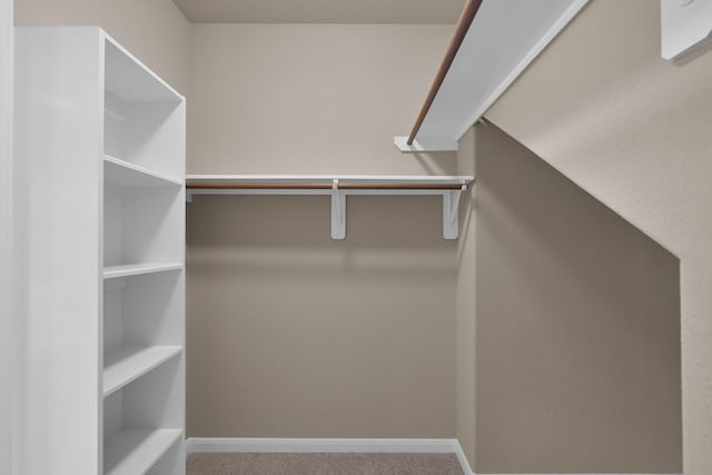 spacious closet featuring carpet flooring