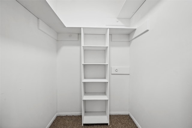 walk in closet featuring carpet