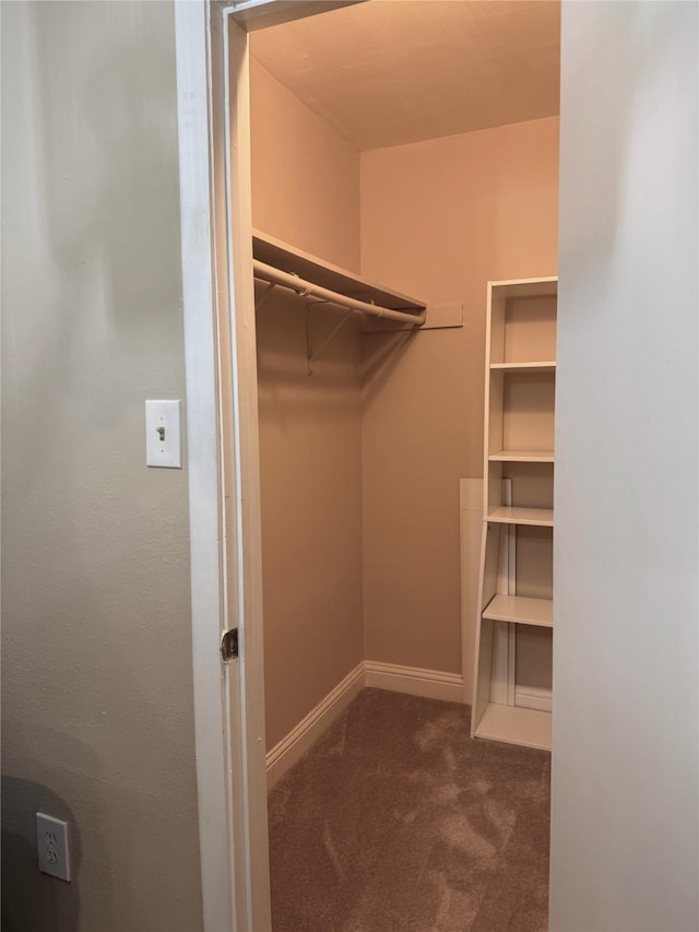 spacious closet with dark carpet