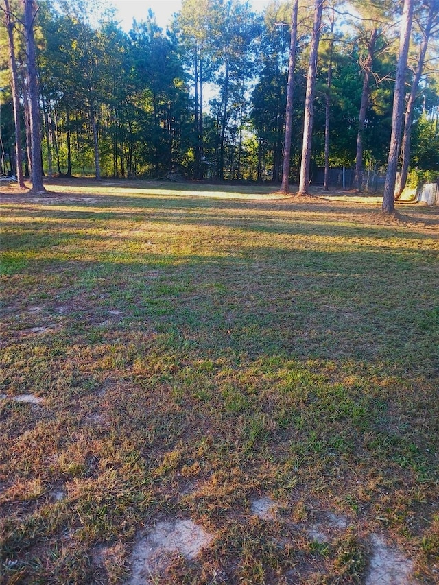 601 County Road 3479a, Cleveland TX, 77327 land for sale