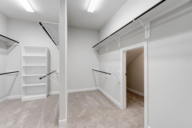 walk in closet with carpet flooring