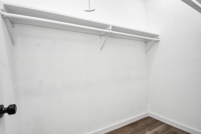 spacious closet featuring dark wood-style floors