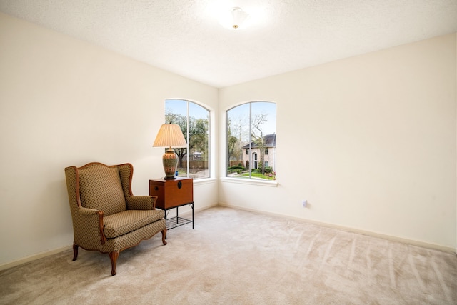 living area featuring baseboards, carpet floors, and a textured ceiling