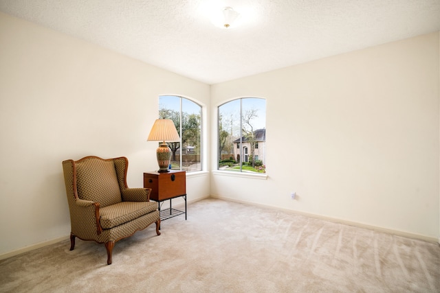 12215 Clearfork Dr, Houston, TX 77077 - living area with carpet flooring and baseboards