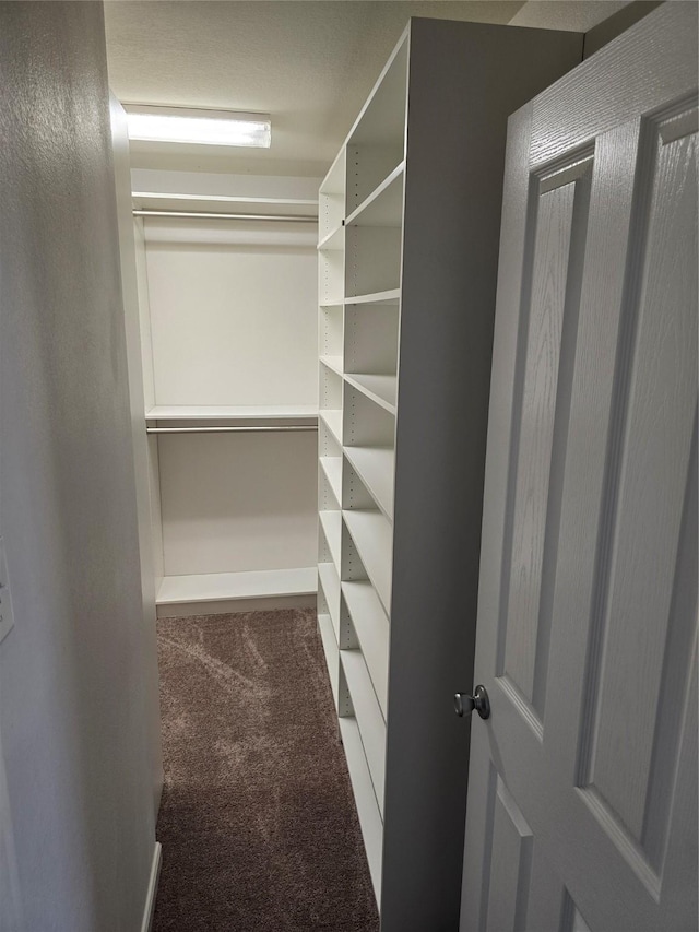 walk in closet with carpet