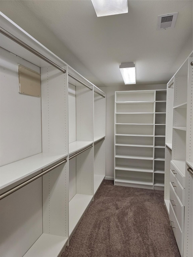 spacious closet featuring visible vents and carpet flooring