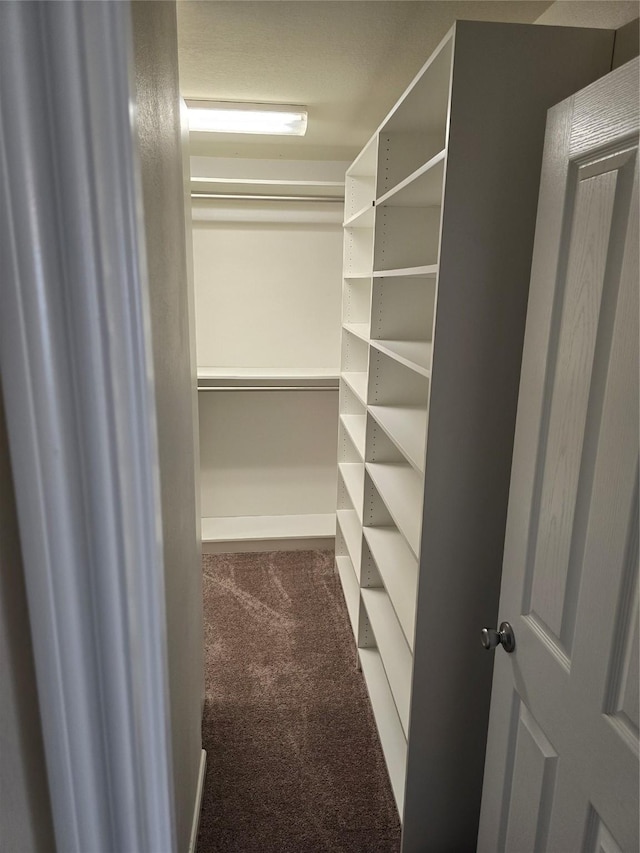 spacious closet with carpet