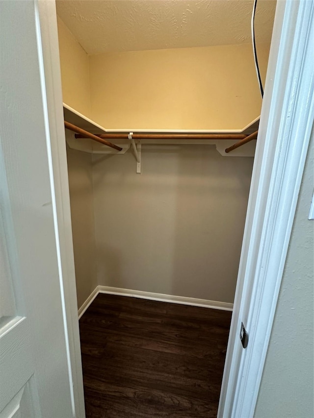 spacious closet featuring dark wood-type flooring