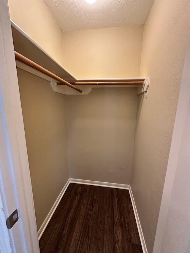 walk in closet featuring dark wood-style flooring