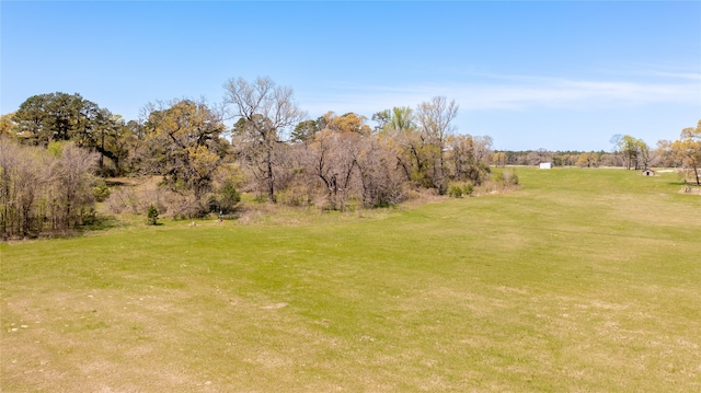 0 Davidson Rd, Huntsville, TX 77320 - photo 18