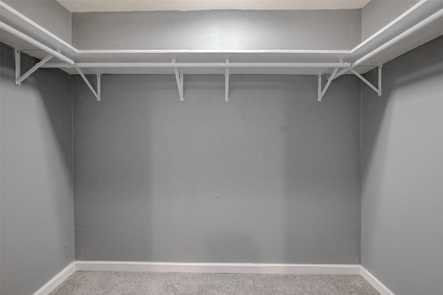 spacious closet featuring carpet flooring