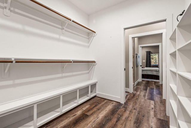 walk in closet with dark wood-style flooring