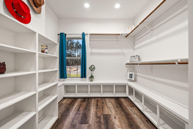 spacious closet with dark wood-style floors