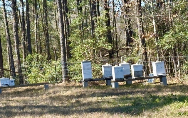 view of community with a wooded view