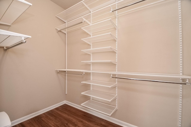 walk in closet featuring dark wood-type flooring