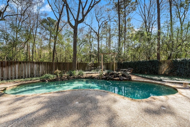 view of swimming pool featuring a fenced in pool, a patio, and a fenced backyard