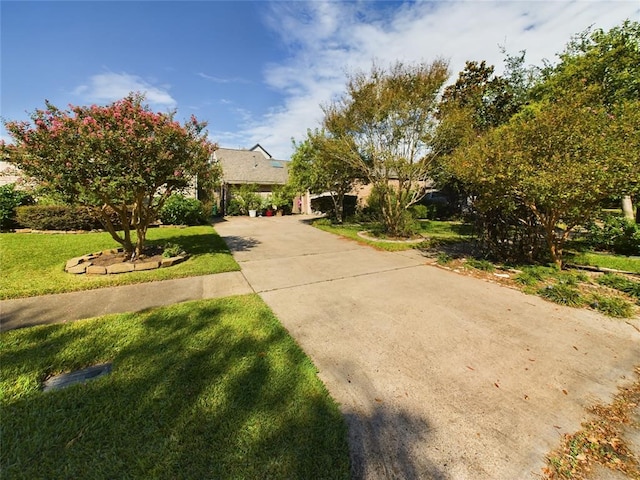 view of property hidden behind natural elements featuring driveway and a front lawn